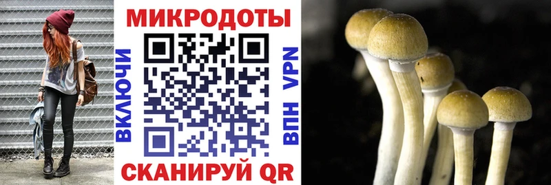 Галлюциногенные грибы мицелий Ильский